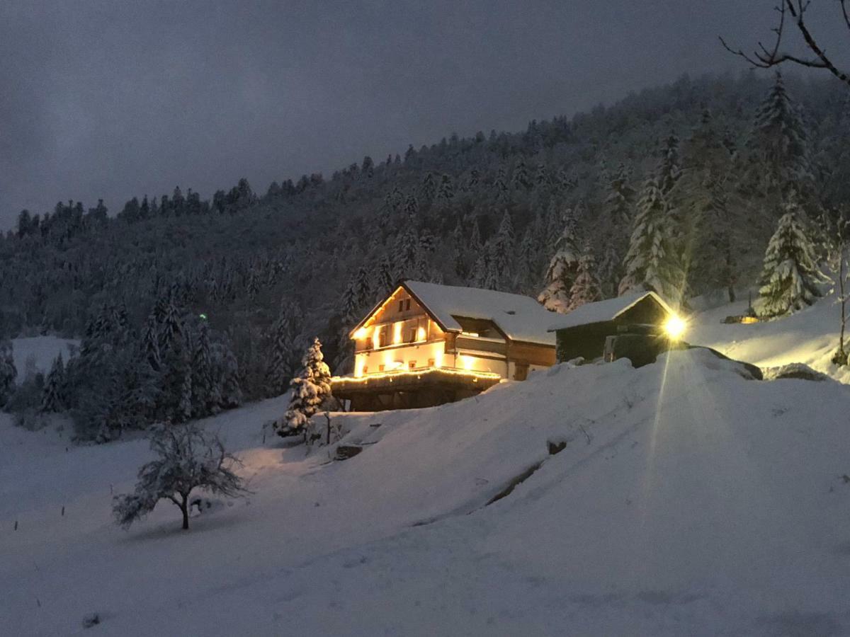 Le Cabanon De Lafermedunol Villa La Bresse Bagian luar foto
